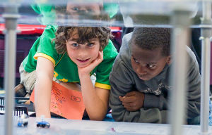 Rosalia Films Newsletter 6